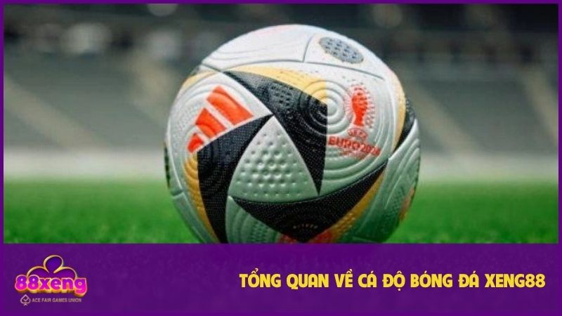 Cá Độ Bóng Đá Xeng88 - Điểm Đến Đem Về Cả Tỷ Tiền Thưởng 1 Hình thức luôn chứng kiến hội viên đặt cược mỗi ngày