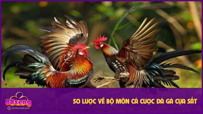 Đá Gà Cựa Sắt - Hình Thức Giải Trí Luôn Tạo Kịch Tính 1 Bộ môn hấp dẫn trong từng pha ra đòn hiểm hóc