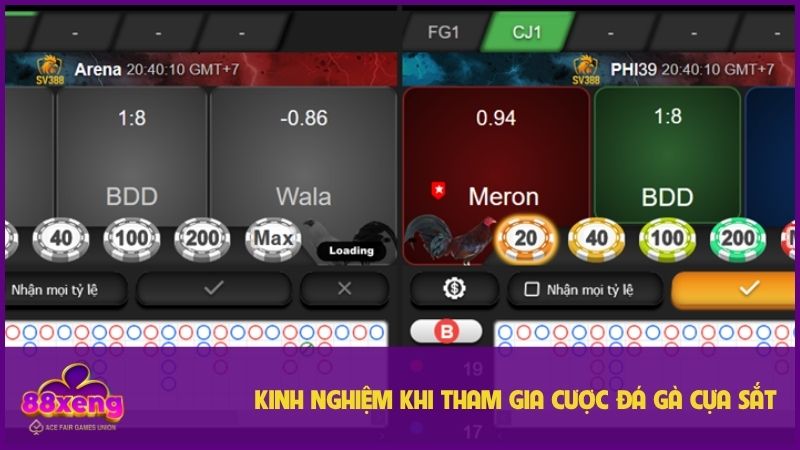 Đá Gà Cựa Sắt - Hình Thức Giải Trí Luôn Tạo Kịch Tính 3 Một vài mẹo chọn chiến kê trong đá gà cựa sắt